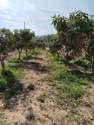 Maison de Campagne à La Nucía - 12