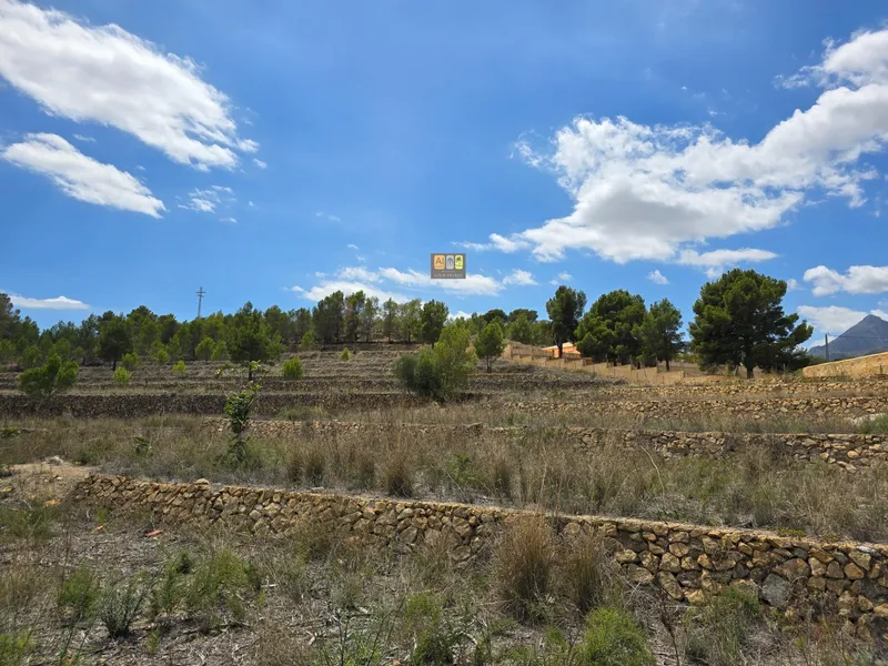 Plot in La Nucía - 13