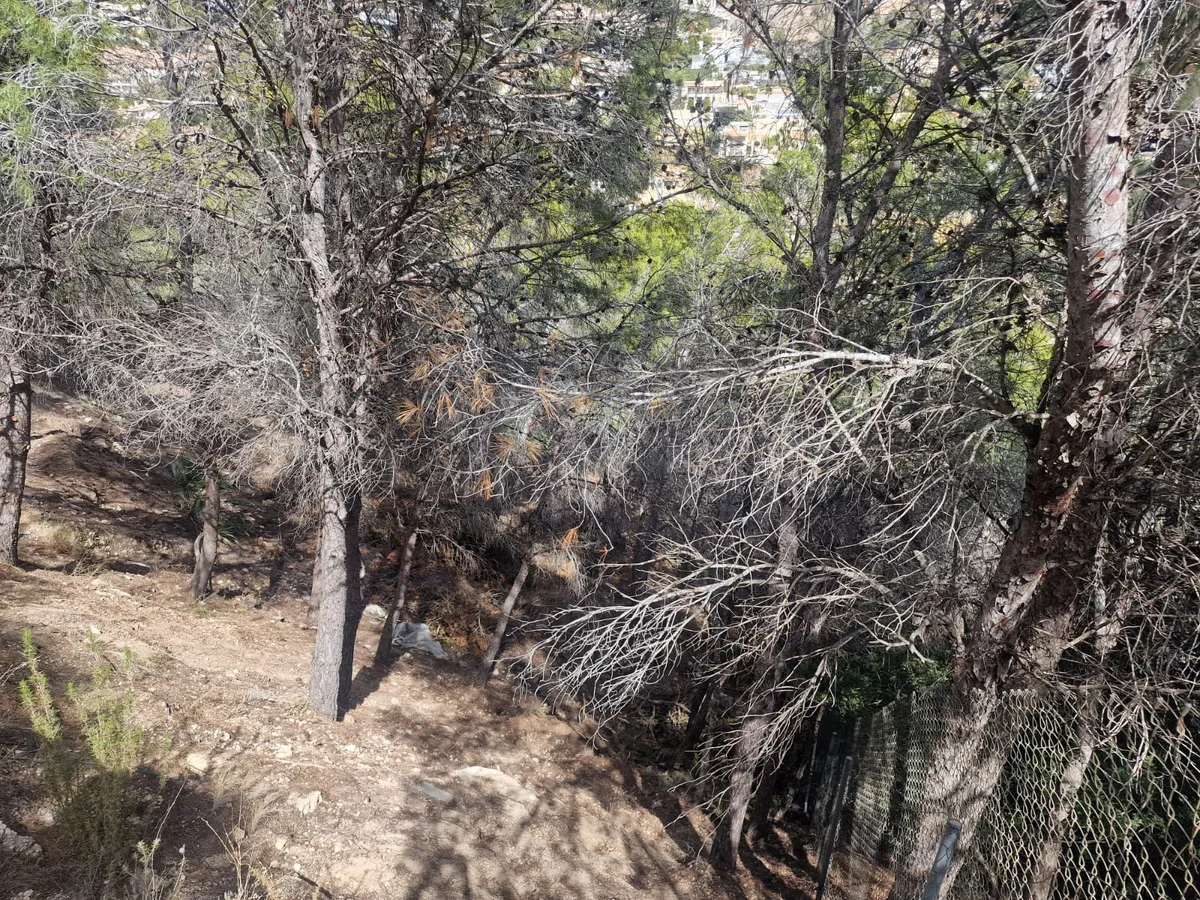 Parcela urbanizable en Altea Hills - 2