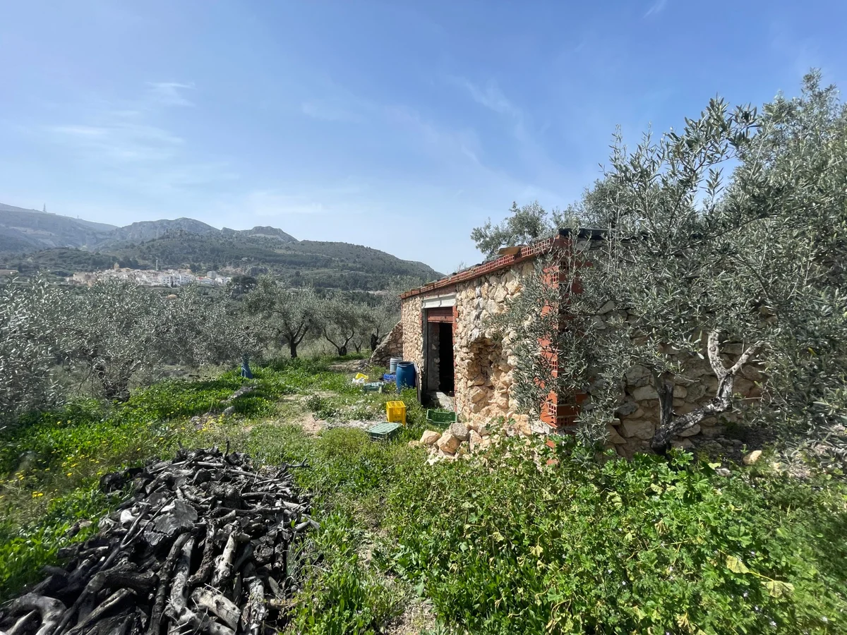 Casita de piedra en Confrides - 5