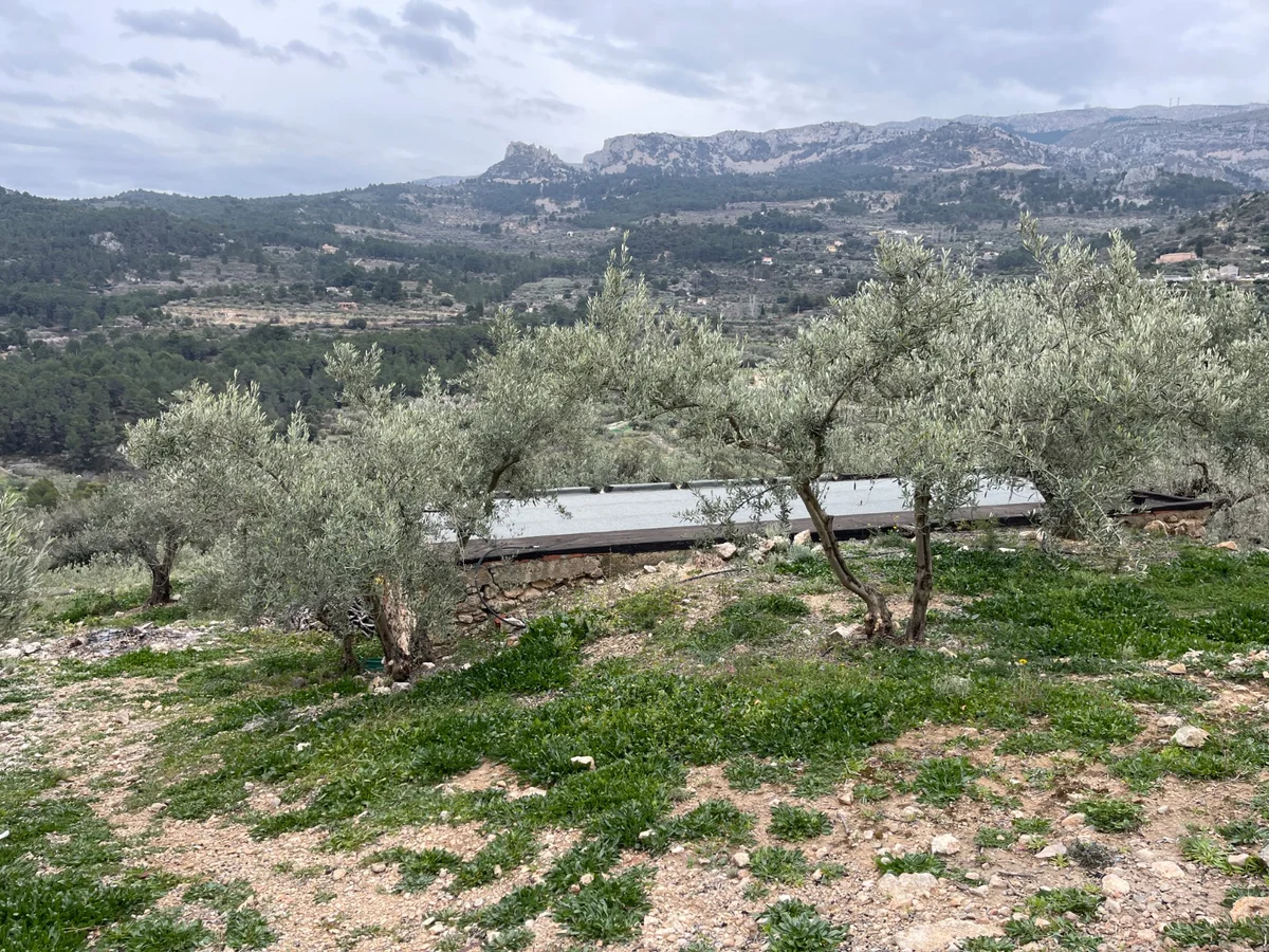 Casita de piedra en Confrides - 1