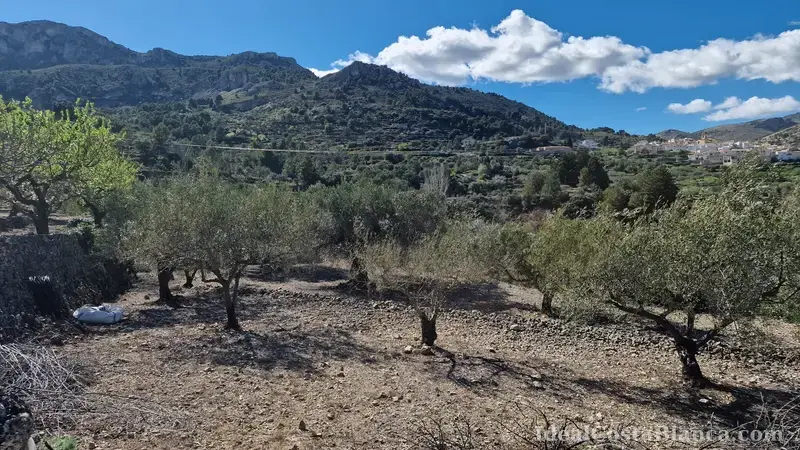 Plot of land with a property in need of renovation in Confrides - 35