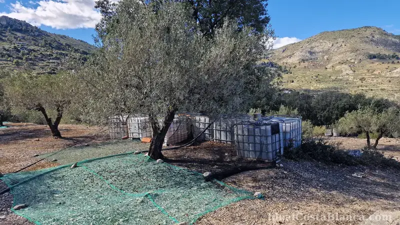 Plot of land with a property in need of renovation in Confrides - 28