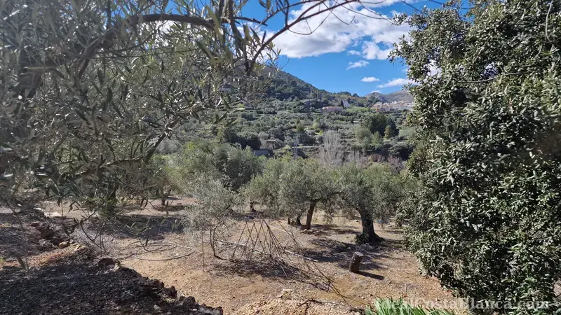 Plot of land with a property in need of renovation in Confrides - 20