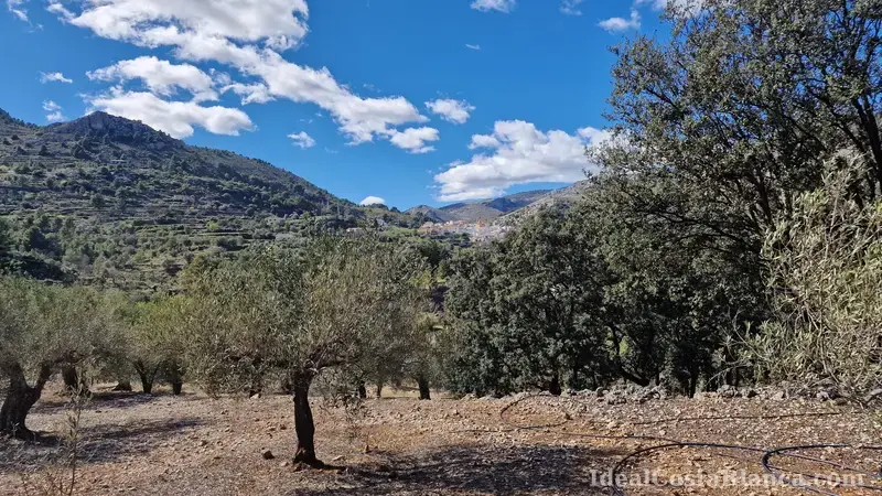 Plot of land with a property in need of renovation in Confrides - 34