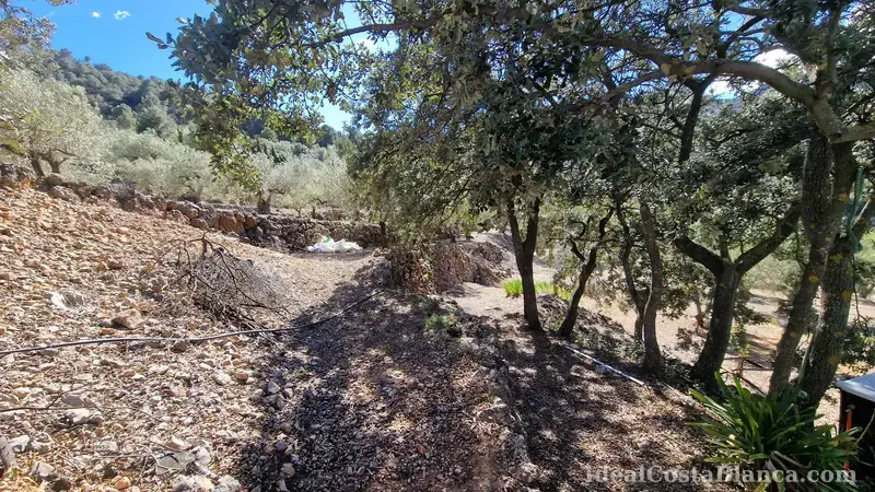 Plot of land with a property in need of renovation in Confrides - 15
