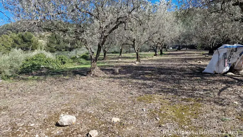 Plot of land with a property in need of renovation in Confrides - 26