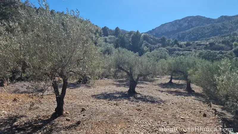 Plot of land with a property in need of renovation in Confrides - 21