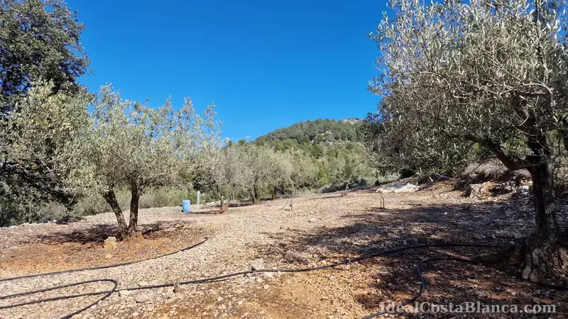 Plot of land with a property in need of renovation in Confrides - 22