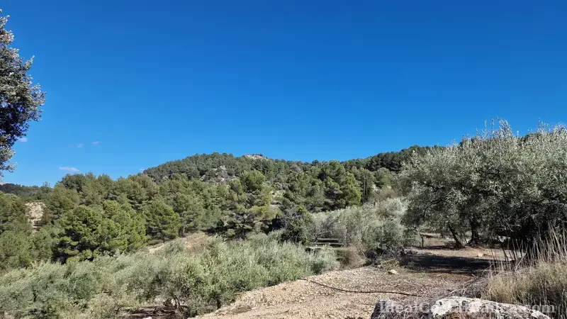 Plot of land with a property in need of renovation in Confrides - 25