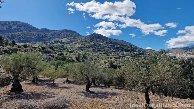 Plot of land with a property in need of renovation in Confrides - 33