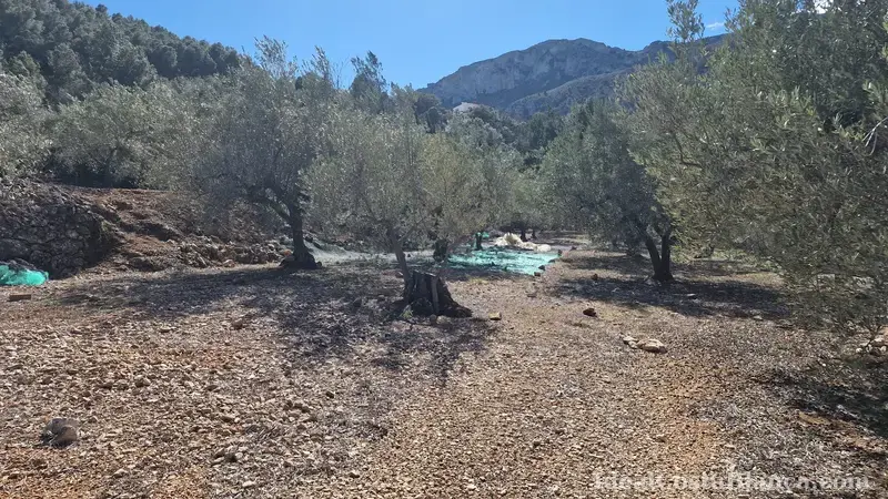 Plot of land with a property in need of renovation in Confrides - 23