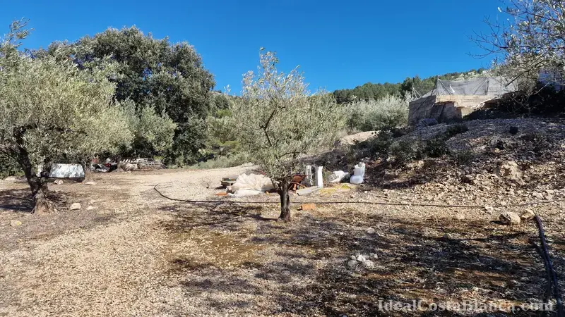 Plot of land with a property in need of renovation in Confrides - 24